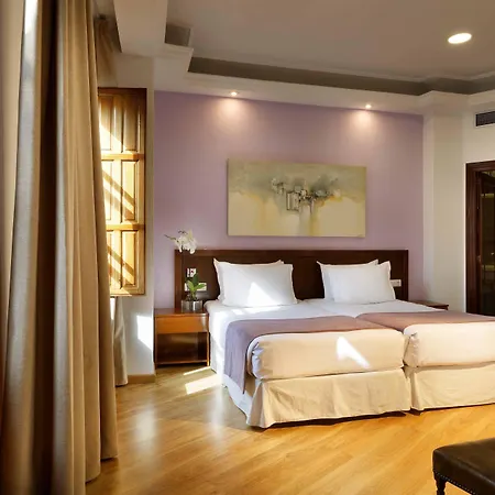 Hotel Exe Triunfo Grenada